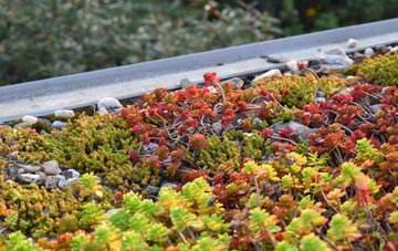 the cost of Milton Bryan green roof installation