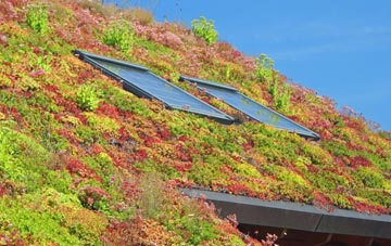 Milton Bryan living roof systems