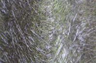 Milton Bryan fibreglass roof work